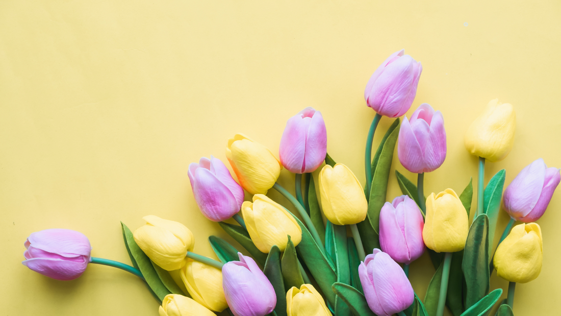 Spring Flowers in Full Bloom: A Manchester Florist’s Guide to Seasonal Beauty